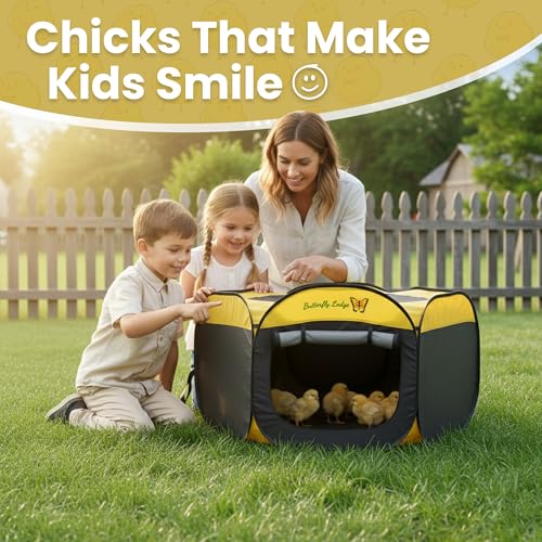 Chicken Brooder Box for Chicks, 6-in-1 Chick Starter Kit, 45" Large Chicken Brooder Pet Tent, Chick Coop for 10-15 Chicks with Feeder, Waterer & Cleaner, Indoor Chick Pen