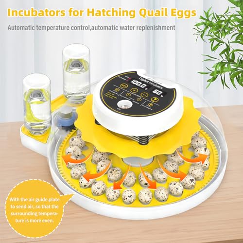 40 Quail Egg Incubator with Automatic Egg Turning Humidity Control Eggs | Large Capacity Quail Brooder Poultry Incubators, Also for Parrot, Dove, Canary and Other Birds - color: Yellow