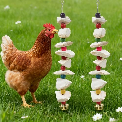 2-Pack Chicken Pecking Toys with Cuttlebone & Bell – Hanging Poultry Enrichment for Hens, Ducks & Geese | Calcium Supplement & Boredom Relief Activity