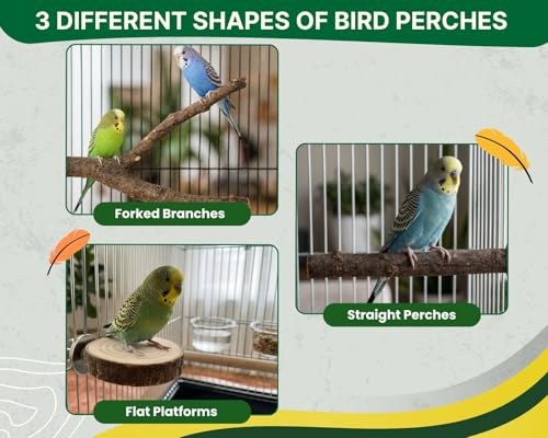 6 PCS Bird Perches for Cage | Natural Apple Wood Perch Set with Platforms for Small Birds, Parakeets, Budgies, Cockatiels Climbing, Resting & Foot Exercise