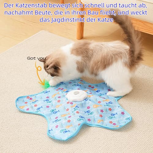Hide and Seek Interactive Cat Toys, Puzzle Motion Activated for Indoor Cats | Cat Enrichment & Stimulating, Electronic Design, Moving toy play mat, USB & Battery Powered, 5-Hole, Multi-Cat, Bird Sound - color: Fish Cover