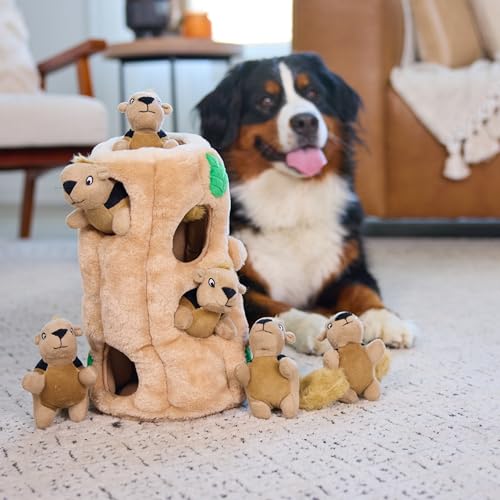 Outward Hound Hide-A-Squirrel Plush Squeaky Dog Toy, XL, 7" x 11.8" | Hide-n-Seek Puzzle, 6 Removable Squirrels, Fetch Play, Interactive Enrichment, Boredom Buster, Light Chewers, Dogs & Puppies - color: Squirrel Xlarge, size: X Large (Pack of 1)