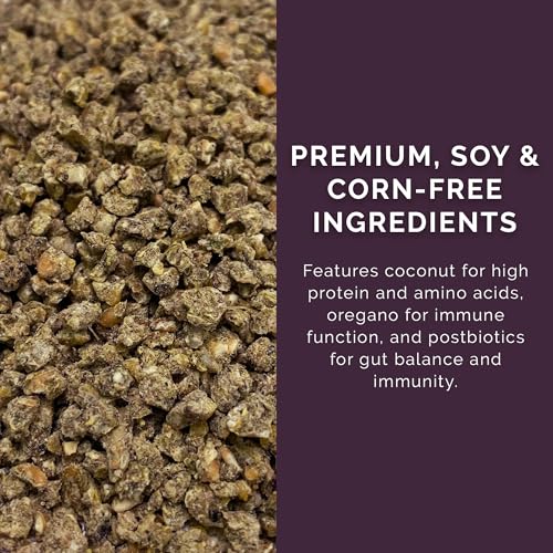 Chick Start Crumb Feed, 40lbs - Non-GMO, High Protein Chick Feed for Strong Early Growth, 21% Protein - USDA Certified Organic Blend, Soy & Corn-Free - size: 40 Pound