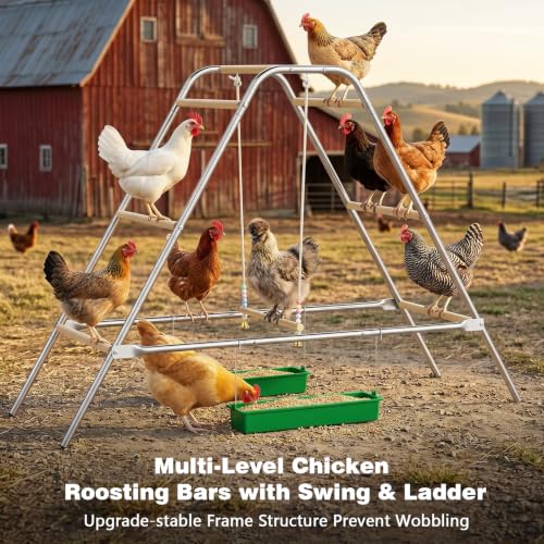 Large Multi-Level Chicken Perch Roosting Bars for 8-12 Chickens | LitaiL Wooden Chicken Perch with Swing, Rustproof Hardware Outdoor Coop Stand, Easy Assembly Backyard Chicken Accessories