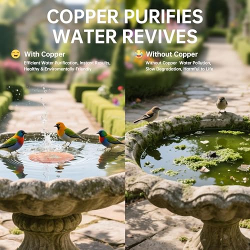 4 Pack Copper Disc for Bird Bath, Premium 0.6mm Sturdy 99.99% Pure Copper Cleaning Disc, Triple-Point Support Ensures Clean Water Year-Round, Compatible with All Outdoor Birdbath Bowls