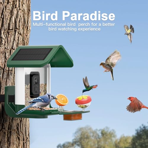 Bird Feeder with Camera Solar Powered : Smart Camera Bird Feeder 2K Live Feed Cam for Outdoor Backyard - Ai Identify Auto Capture Videos Pictures, Gifts for Birdlover Mom Dad, 2.4GHz WiFi - color: White Green