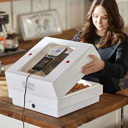 Farm Innovators 4250 Heated Digital Circulated Air Incubator with Automatic Egg Turner and 6 Pack of Small Egg Tray Rail with 20 Egg Capacit