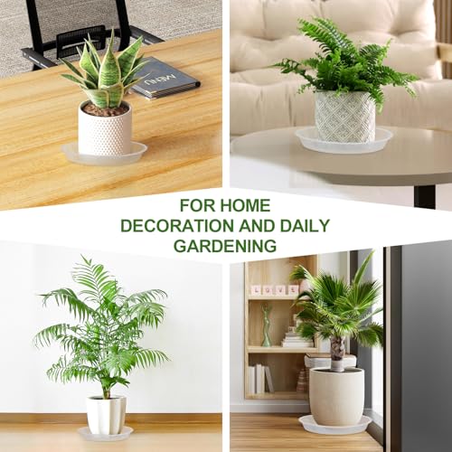 Plant Saucers 3 4 5 6 7 8 9 10 11 12 14 Inch, 5 Pack Clear Plastic Plant Trays for Pots, Durable Plant Water Catcher Tray for Indoors Outdoors (6", Clear) - size: 6 INCH