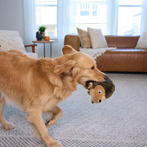 Outward Hound Hedgehogz Plush Dog Toy, Squeaks & Grunts, Large, 12" x 7" | Soft Realistic Faux Fur, Round for Rolling & Chasing, Cuddle & Carry, Interactive Fetch, Light Chewers, Dogs & Puppies - size: Large (Pack of 1)