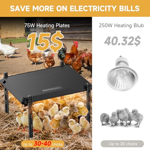 Chicken Coop Heater, 12 * 16inch Large Brooder Heater Plate for Chicks, Adjustable Height Brooder Warmer for 30-40 Baby Chicks, 5 Level Temp Adjustable Heating Plate, 75 Watt, Energy-Efficient & Safe