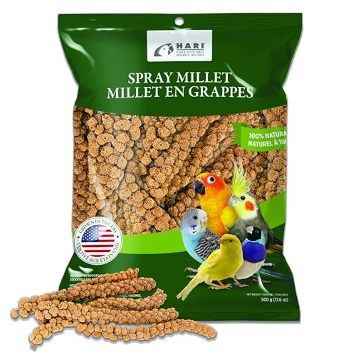 Living World Millet Spray for Birds, 17.6 Oz | Premium Treat for Budgies, Canaries, Finches, Cockatiels and Other Pet Birds - size: 1.1 Pound (Pack of 1)
