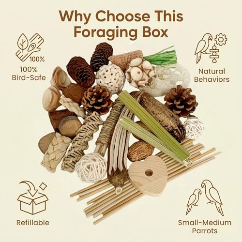 40PCS Natural Foraging & Chew Parrot Toys, Shredding Box for Birds | Natural Bird Toy Set for Parakeets, Cockatiels, Conures & Lovebirds, Helps Reduce Stress & Cage Boredom - size: Large