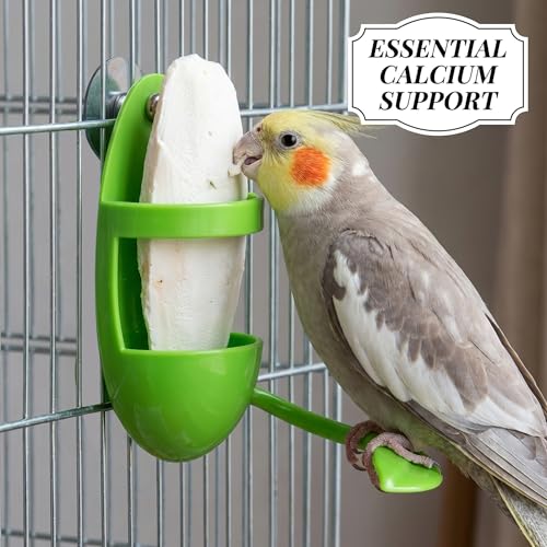 2 Pack Cuttlebone Holder for Bird Cage Green Bird Fruit Feeder Clip with Perch Stand. Millet Holder for Bird Cage Accessories for Parakeet Budgie Cockatiel (Vegetable Bracket)
