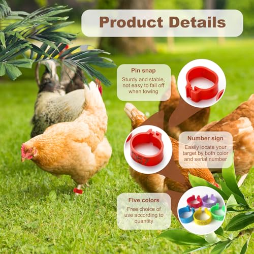 100 Pieces 16 mm Chicken Identification Leg Bands, Colorful 01-100 Numbered Duck Ankle Chicken Foot Tags Bracelets, Clip on Poultry Leg Bands Ring for Hens Chicks Goose Turkey ID (0.62'' (16 mm))