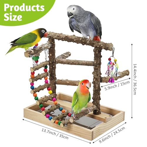 BNOSDM Natural Wood Bird Playground for Training & Playing, Parrot Perch Stand Jungle Gym with Hanging Bridge & Detachable Tray Parakeet Cage Playstand for Budgie, Cockatiel, African Grey - color: Bird Stand with Bridge