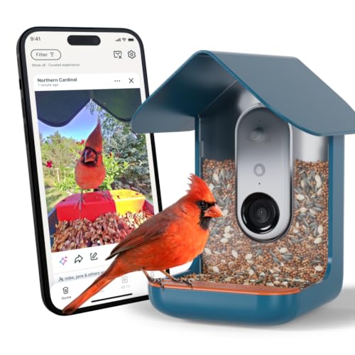 Birdbuddy Pro Smart Bird Feeder with Camera, AI Bird ID, 2K Video & Photos | 2K video quality, 5MP Photos, 1/2.7” sensor with excellent low-light performance, High Dynamic Range (HDR)