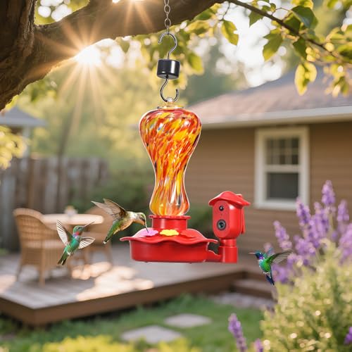 Camera Bird Feeder