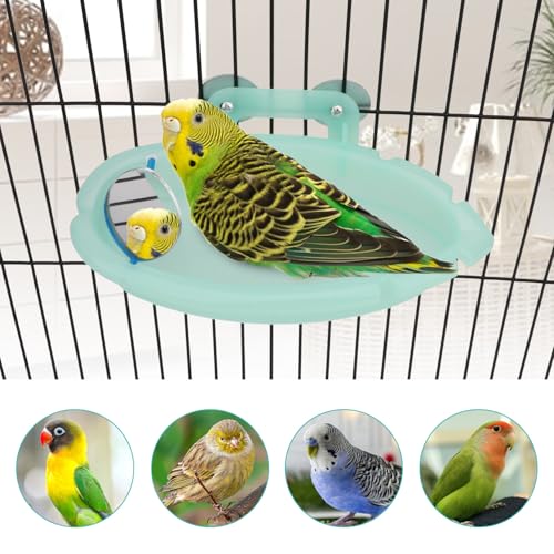 Wontee Bird Bath with Mirror for Small Birds Budgie Parakeet Cage, Green | Mirror design for fun & stimulation, easy to install and clean, stable, 7.4x3.9x1.4 inch size for lovebirds/canaries/finches - color: Green