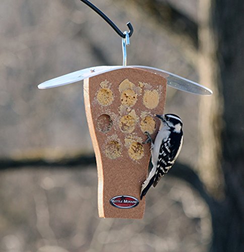 Peanut Butter Feeder with Clear Roof (Chocolate) | Clear Roof