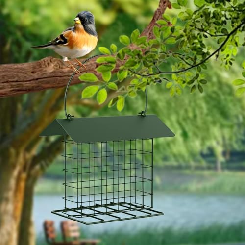 Suet Cake Bird Feeder Outdoor Hanging Metal Wire Wild Bird Feeder Fat Ball Food Feeder with Metal Roof and Platform Outside Cake Suet Feeder Rainproof(Green) - color: Green