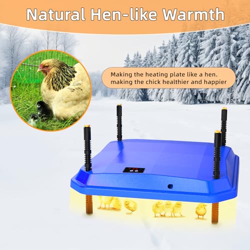 Chick Brooder Heating Plate, Brooder Heater for Chicks, Adjustable Temperature Height Adjustable Brooding Heater, Brooder Heat Plate Warmer for Baby Chick Duckling (Blue) - color: Blue