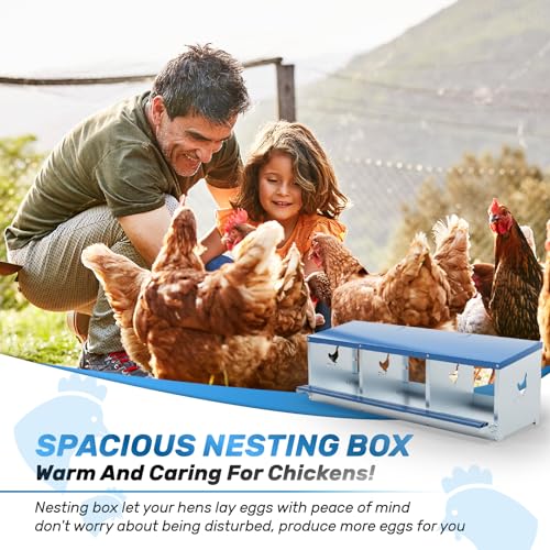 Chicken Nesting Box for Laying Eggs 3 Holes Metal Nest Box for Chicken Hens Ducks Poultry Protect Eggs Chicken Coop Easy Egg Collection Wall Mount Nest Box for Chicken Coop - size: 3 Compartments
