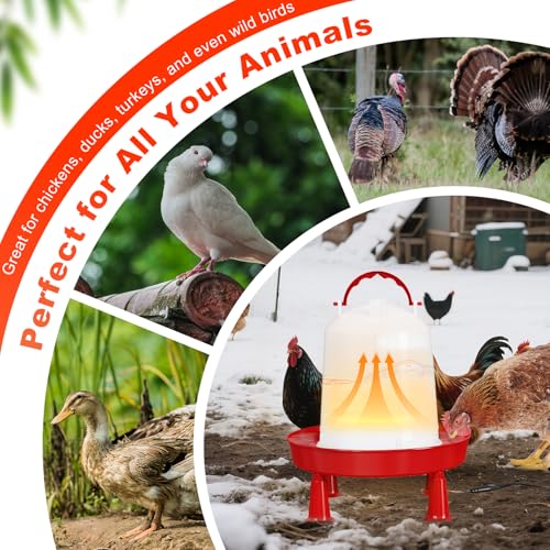 Nexum Heated Chicken Waterer – Durable Winter Poultry Water Dispenser with Handle, Food-Grade Plastic, Easy to Refill & Clean, Keeps Water from Freezing, for Chickens, Ducks & Small Flocks