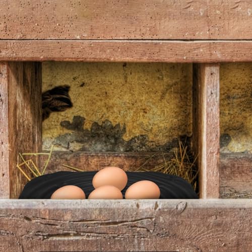 Toyvian Chicken Nesting Pads 4 Pack Washable Nesting Box Liners Soft Sponge Egg Laying Mats for Coop Use Textured Surface Easy-Cut Poultry Care Supplies 12.00 X 12.00 X 0.39 in