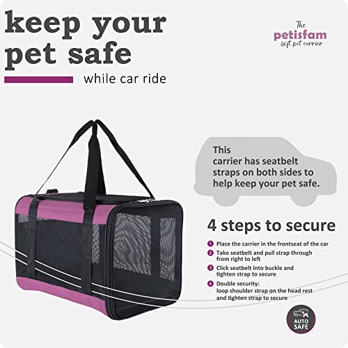 Soft Pet Carrier for Large and Medium Cats, 2 Kitties, Small Dogs. Easy to Get Cat in, Great for Cats that Don't Like Carriers (Viva Magenta) - color: Viva Magenta