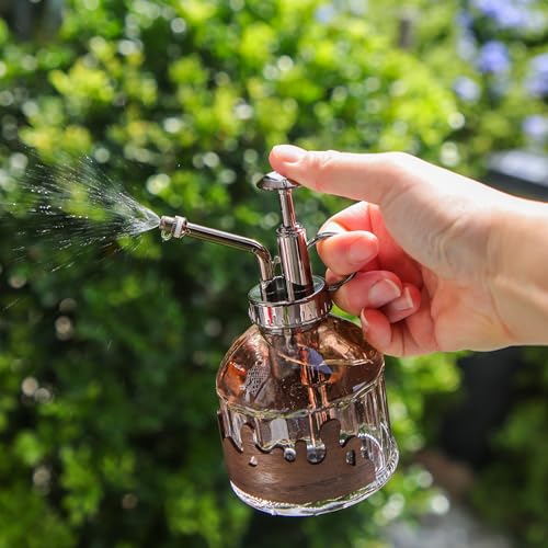 Glass Plant Mister, Spray Bottle with Vintage Bronze Plastic Pump | Vintage Style Spritzer, Indoor Plant Spray Bottle, 6.3" Tall, 200ml/6.7oz, Small One Hand Watering Can for Garden Cleaning - color: C-Morning Dew