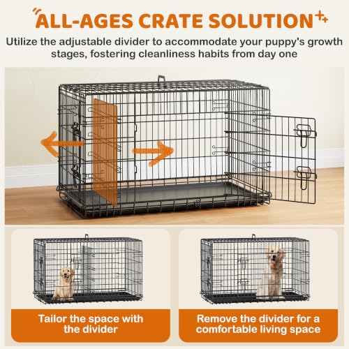 Yaheetech 42inch Double Door Dog Crate w/Divider, Collapsible Metal Kennel | Heavy-duty Sturdy Metal Frame, Easy Assemble, Fold Up for Travel, Removable Tray, Ideal for Puppies, Medium to Large Dogs - size: 42" L
