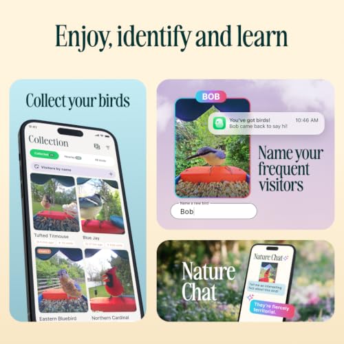 Birdbuddy Pro Smart Bird Feeder with Camera, AI Bird ID, 2K Video & Photos | 2K video quality, 5MP Photos, 1/2.7” sensor with excellent low-light performance, High Dynamic Range (HDR)