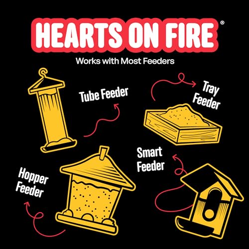 Cool Birds Hearts on Fire Hot Bird Seed, 10 lb | 100% Hulled Sunflower Hearts with Chili Pepper Oil – No Waste Bird Seed for Outside Feeders