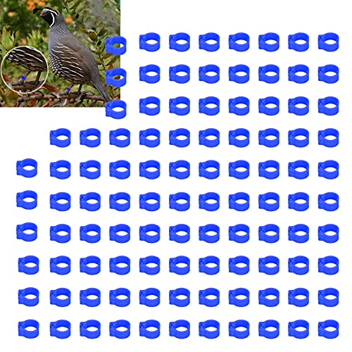 Omabeta Pigeons Leg Rings, Durable Plastic Construction Lightweight Easy to Install and Clean, Pigeons Leg Rings, for Pigeon Identification, Dark Blue, 8mm, 100 Pieces - color: Dark Blue