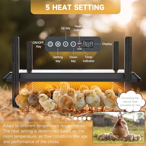 Chicken Coop Heater, 12 * 16inch Large Brooder Heater Plate for Chicks, Adjustable Height Brooder Warmer for 30-40 Baby Chicks, 5 Level Temp Adjustable Heating Plate, 75 Watt, Energy-Efficient & Safe