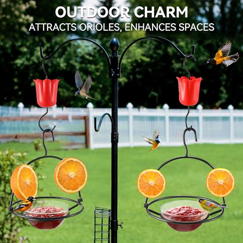 2 Pack Metal Oriole Feeders for Outdoors Hanging with Ant Moat and Fruit Holder, Oriole Feeder with Glass Bowl, Easy to Disassemble and Wash, Bird Feeder for Garden, Outdoor, Gift (Black)