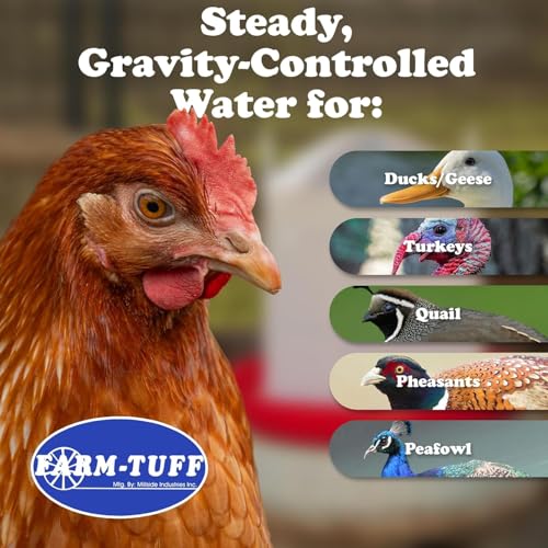 FARM-TUFF Plastic Easy Fill Poultry Waterer, 3 Gallon Capacity – Chicken and Game Bird Water Dispenser – Gravity-Fed Plastic Water Fountain for Hens, Ducks, Turkeys, and Backyard Flocks