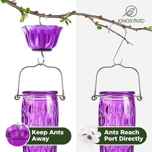 Kingsyard 2 Pack Glass Hummingbird Feeder for Outdoors with Ant Moat | 24 oz, Wide-Mouth Opening, 6 Metal Feeding Ports, Bee Guard, Easy to Clean & Refill Nectar, 360 Degree Perch, Purple - color: Purple
