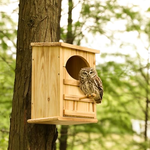 Screech Owl Nesting Box for Outdoors with Easy-Clean Door | Owls House, 13×7.3×8.6 In, Cedar Wood, Quick Assembly, Weather-Resistant Design, Includes Natural Shavings