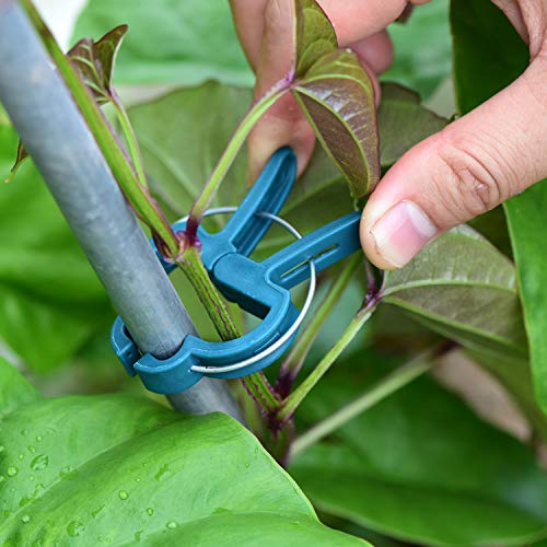 PERSZEN 60PCS Plant Clips 2 Sizes Adjusting Reusable Garden Plant Supports Clips for Supporting Stems of Flower Vine Vegetables Tomatoes Climbing