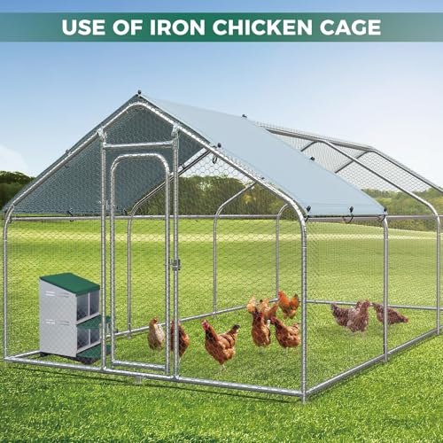 Garvee 4-Hole Rollaway Chicken Nesting Box for Hens –Chicken Nest Box with Removable Trays, Easy Egg Collection & Cleaning, Wall Mount or Freestanding, Sturdy Chicken Laying Boxes, Green - color: Green-4 Hole ＆ 2 Tire