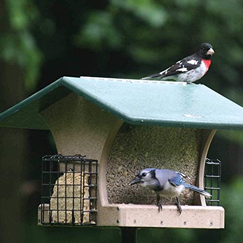 Birds Choice SN200-S Two-Sided Hopper Feeder, Recycled Bird Feeder w/Two Suet Cages, Medium, Taupe/Green | Two-Sided Recycled Plastic Feeder, Serves Seed and Suet Together, Weather-Resistant for Year-Round Feeding - style: Taupe/Green w/ Suet Cages