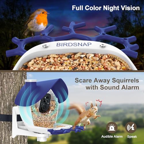Smart Bird Feeder with Camera Solar Powered 2K HD Live Video with 32GB Card | AI Identifies 10,000+ Bird Species, Instant Alerts, IP65 Waterproof, Easy Setup, Bird Watching Gift for Bird Lovers - color: Blue