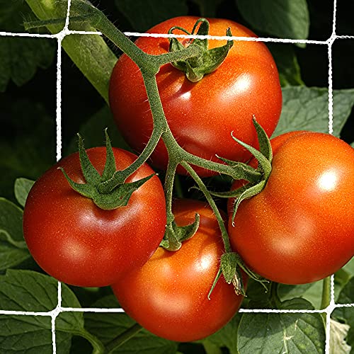 Trellis Netting, CANAGROW Heavy-Duty Garden Plant Trellis Netting for Climbing Plants, Outdoor Indoor Grow Net for Beans Tomatoes Peas Pumpkin Flowers, 6x15ft, Pack of 2 - size: 6'x15'