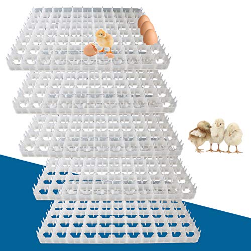 5Pcs 88 Eggs Incubator Tray, Chicken Duck Tray Egg Hatcher Storage Container for Auto Incubator Hatch Machine