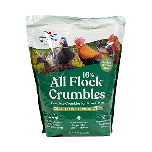 Manna Pro All Flock Crumbles with Probiotics, Chicken & Duck Food, 8 lb Bag | Complete Feed for Mixed Flocks, 16% Protein, Chicken & Duck Feed, Added Probiotics for Digestion, Easy-to-Eat Crumbles - size: 8 Pound (Pack of 1)