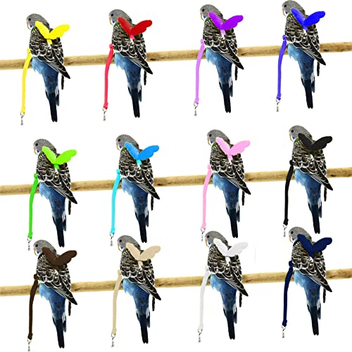 Dnoifne Pet Parrot Bird Harness and Leash, Adjustable Training Design Anti-Bite, Bird Nylon Rope with Cute Wing for Parrots, Suitable for Scarlet, Keck, Mini Macaw and Same Size Birds (Green) - color: green
