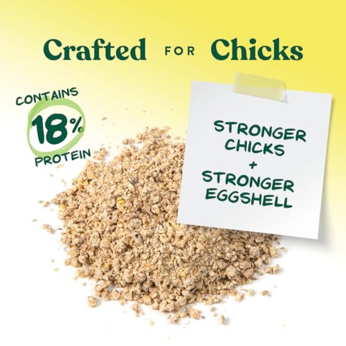 Manna Pro Medicated Chick Starter Grower Feed, Amprolium & Protein, 5 lb | Complete Chick Feed Crumbles, Amprolium for Coccidiosis Prevention, High Protein Nutrition for Growing Chicks, Made in USA - size: 5 Pound (Pack of 1)