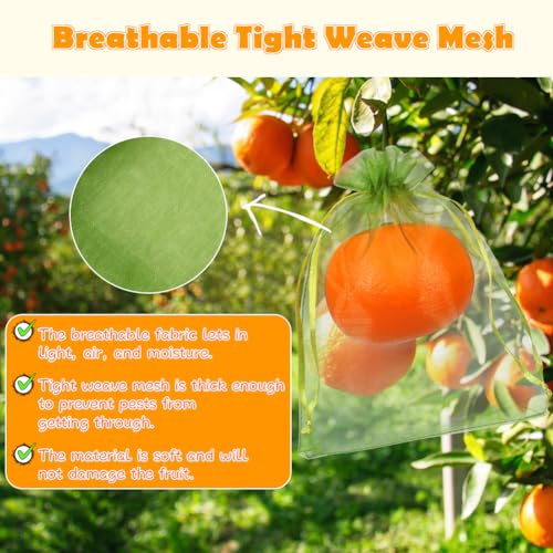 Shintop100Pcs Fruit Protection Bags, 5x7inch Green Strawberry Net Cover | Drawstring Mesh Bags, Fine Mesh Bird/Insect Barrier, Breathable Organza, Gentle on Delicate Stems, Fits Blueberries and Figs - size: 5x7 inch