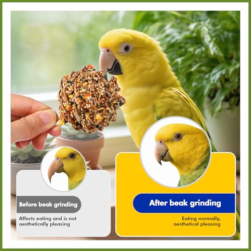 Abizoo Natural Pinecone Chew Toys with Edible Sunflower & Veggies - Malt Sugar Coated Foraging Enrichment for Parrots Cockatiels Conures Budgies Immune & Digestive Support Safe Bird Toy 2pcs
